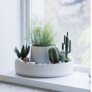 Anthropologie Sung Wook Park for Umbra Ceramic Planter and Bowl